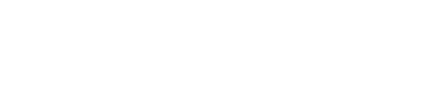 عميل 13